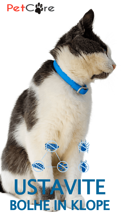 Miki z modro ovratnico proti klopom in bolham