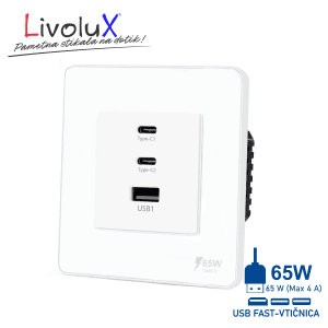 Touch vtičnica BASIC 65W z USB-C in USB za hitro polnjenje mobilnih telefonov