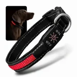 USB polnilna LED ovratnica za pse – svetleča, vodoodporna in nastavljiva.