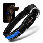 USB polnilna LED ovratnica za pse – svetleča, vodoodporna in nastavljiva.