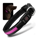 USB polnilna LED ovratnica za pse – svetleča, vodoodporna in nastavljiva.